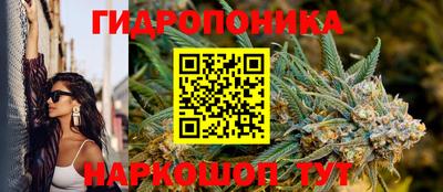 прущие крисы Гусев